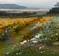 Mona and Wine Experience Tour - Accommodation NT