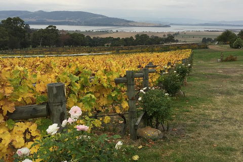 Mona And Wine Experience Tour - Accommodation NT 0