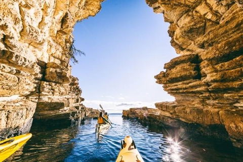 Hobart Kayak Tour - Accommodation NT 0