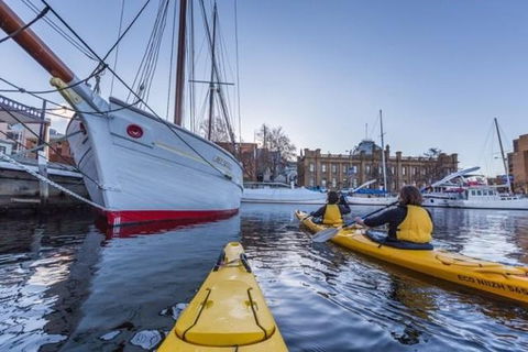 Hobart Kayak Tour - Accommodation NT 1