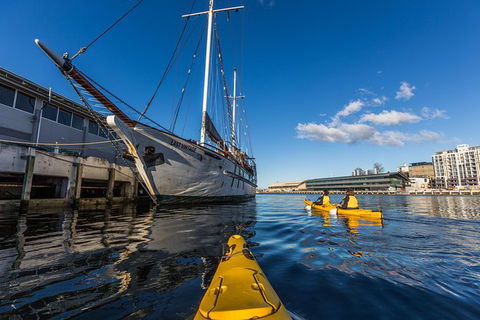 Hobart Kayak Tour - Accommodation NT 8