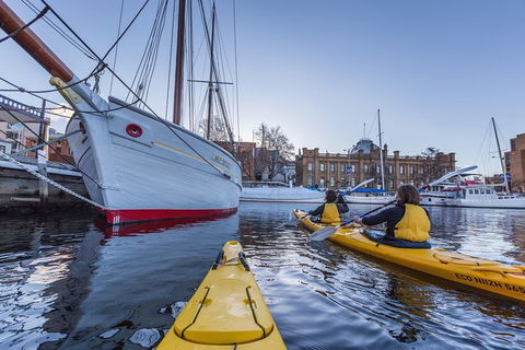 Hobart Kayak Tour - Accommodation NT 5
