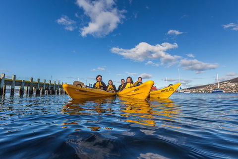 Hobart Kayak Tour - Accommodation NT 7
