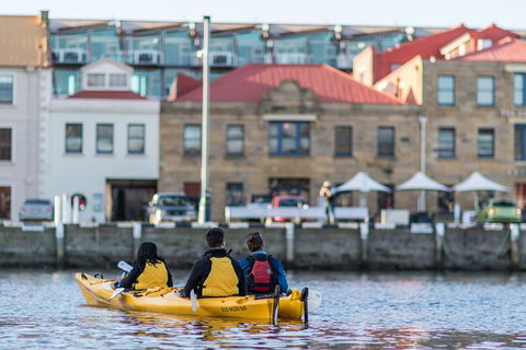 Hobart Kayak Tour - Accommodation NT 6