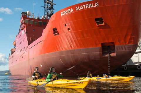 Hobart Kayak Tour - Accommodation NT 3