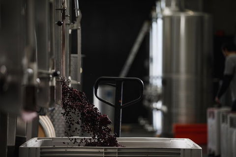 Private 90-minute Moorilla Estate Winery Tour With Tastings And Free Wine Gift - Accommodation NT 1