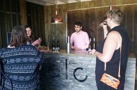 Tamar Valley Food And Wine Day Trip From Devonport, Ulverstone Or Burnie - Accommodation NT 0