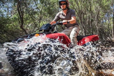 Half-Day Guided ATV Exploration Tour From Coles Bay - NT Tourism 1