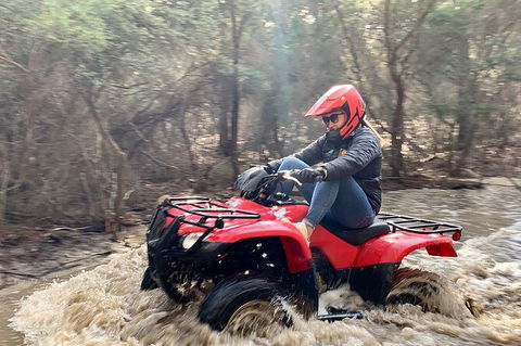 Half-Day Guided ATV Exploration Tour From Coles Bay - NT Tourism 7