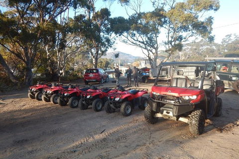 Half-Day Guided ATV Exploration Tour From Coles Bay - NT Tourism 4