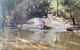 Half-Day Guided ATV Exploration Tour From Coles Bay - thumb 3