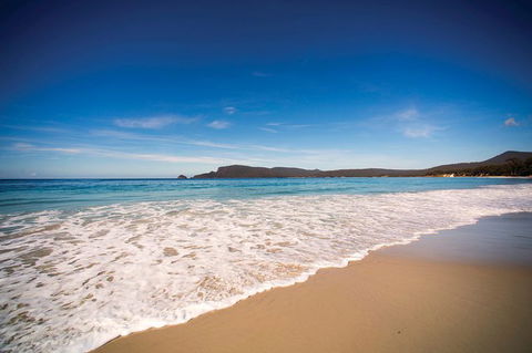 Private Bruny Island Nature Day Trip From Hobart - Accommodation NT 1