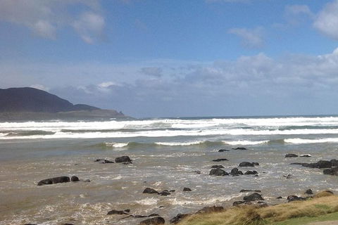 Private Bruny Island Nature Day Trip From Hobart - Accommodation NT 0