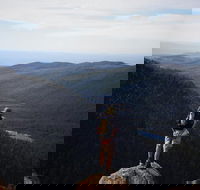 Mount Field National Park - Tarn Shelf  Russell Falls - Guided Hiking Tour - Accommodation NT
