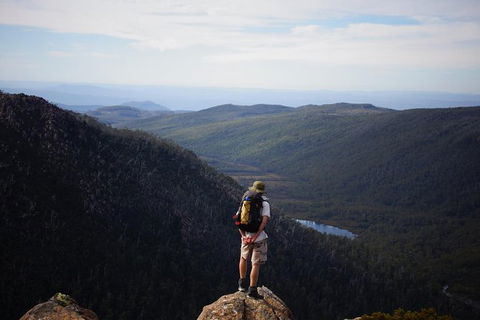 Mount Field National Park - Tarn Shelf & Russell Falls - Guided Hiking Tour - Accommodation NT 0