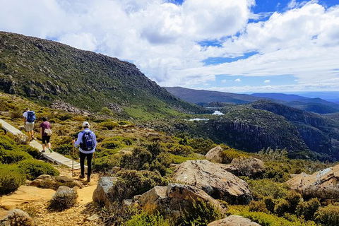 Mount Field National Park - Tarn Shelf & Russell Falls - Guided Hiking Tour - Accommodation NT 1