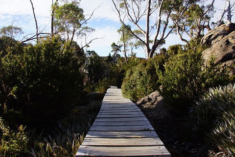 Mount Field National Park - Tarn Shelf & Russell Falls - Guided Hiking Tour - Accommodation NT 5
