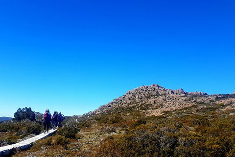 Mount Field National Park - Tarn Shelf & Russell Falls - Guided Hiking Tour - Accommodation NT 6