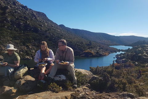 Mount Field National Park - Tarn Shelf & Russell Falls - Guided Hiking Tour - Accommodation NT 8