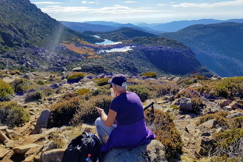 Mount Field National Park - Tarn Shelf & Russell Falls - Guided Hiking Tour - Accommodation NT 11