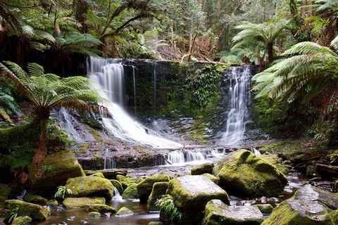 Mount Field National Park - Tarn Shelf & Russell Falls - Guided Hiking Tour - Accommodation NT 10