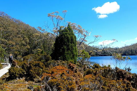 Mount Field National Park - Tarn Shelf & Russell Falls - Guided Hiking Tour - Accommodation NT 3