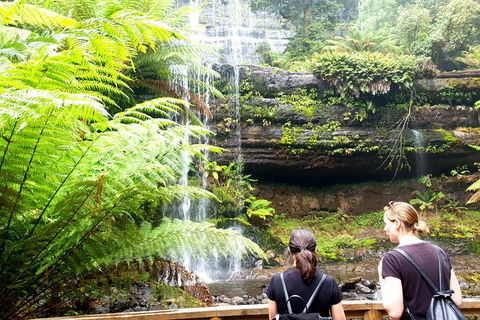 Mount Field National Park - Tarn Shelf & Russell Falls - Guided Hiking Tour - Accommodation NT 4