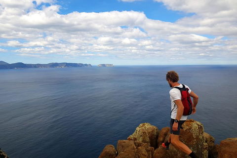 2-Day: Hobart Adventure Tour: Maria Island National Park And Cape Raoul Hike - Accommodation NT 1