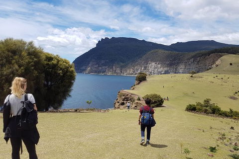 3-Day: Hobart Nature Walking Tour: Maria Island, Cape Raoul & Mount Field - Accommodation NT 3