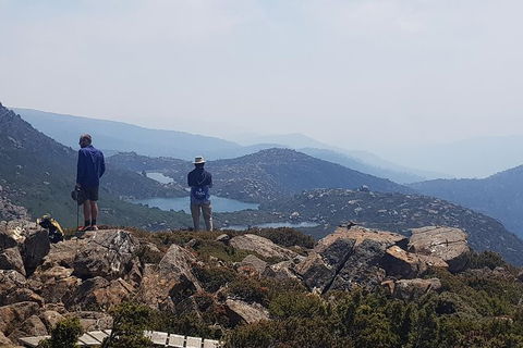 3-Day: Hobart Nature Walking Tour: Maria Island, Cape Raoul & Mount Field - Accommodation NT 11