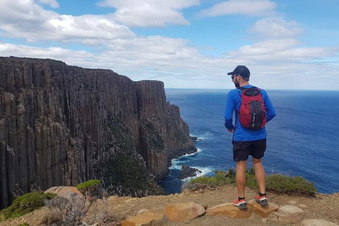 3-Day: Hobart Nature Walking Tour: Maria Island, Cape Raoul & Mount Field - Accommodation NT 13