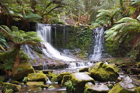 3-Day: Hobart Nature Walking Tour: Maria Island, Cape Raoul & Mount Field - Accommodation NT 10