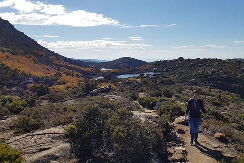 2-Day: Hiking Tour: Maria Island & Mount Field - Accommodation NT 5