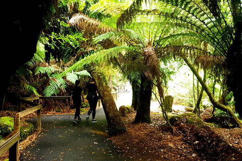 2-Day: Hiking Tour: Maria Island & Mount Field - Accommodation NT 4