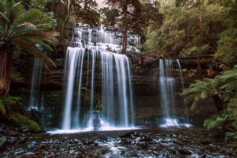 2-Day: Hiking Tour: Maria Island & Mount Field - Accommodation NT 10