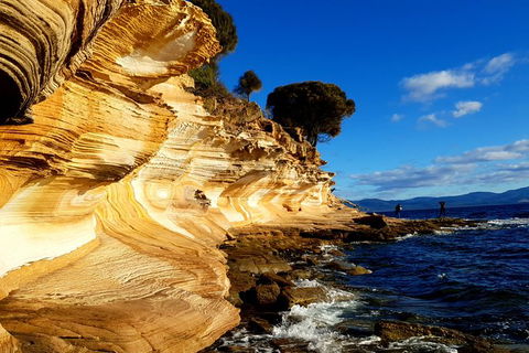2-Day: Hiking Tour: Maria Island & Mount Field - Accommodation NT 7