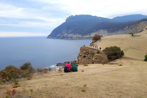 2-Day: Hiking Tour: Maria Island & Mount Field - Accommodation NT 9