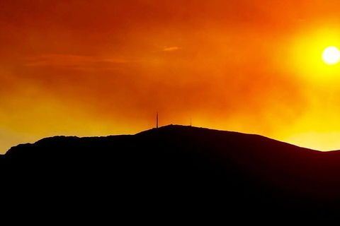 Half-Day Mt Wellington Summit Tour From Hobart - Accommodation NT 1