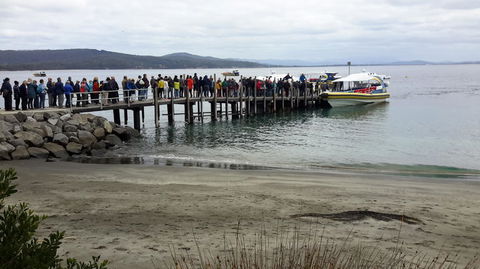 Full-Day Bruny Island Tour From Hobart - Accommodation NT 4