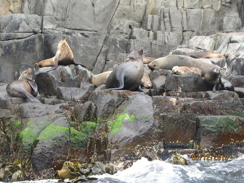 Full-Day Bruny Island Tour From Hobart - Accommodation NT 2