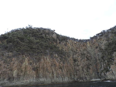 Full-Day Bruny Island Tour From Hobart - Accommodation NT 12