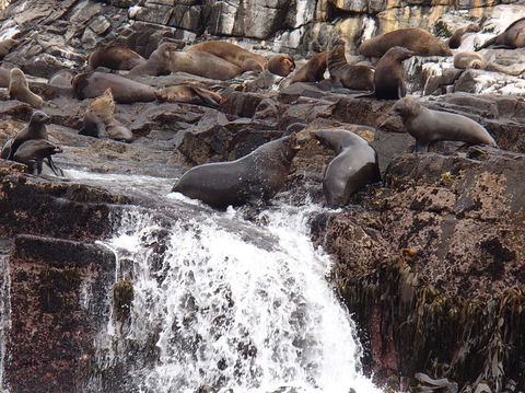 Full-Day Bruny Island Tour From Hobart - Accommodation NT 21