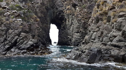Full-Day Bruny Island Tour From Hobart - Accommodation NT 8