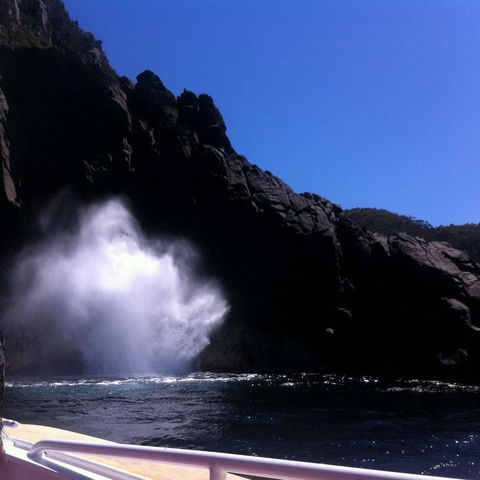 Full-Day Bruny Island Tour From Hobart - Accommodation NT 18