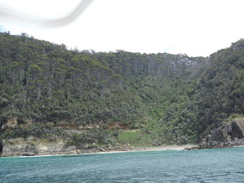 Full-Day Bruny Island Tour From Hobart - Accommodation NT 10