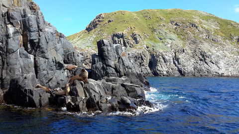 Full-Day Bruny Island Tour From Hobart - Accommodation NT 6