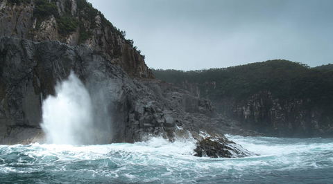 Full-Day Bruny Island Tour From Hobart - Accommodation NT 22
