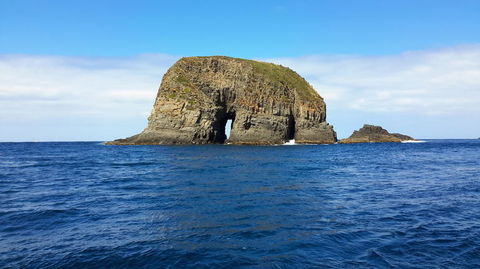 Full-Day Bruny Island Tour From Hobart - Accommodation NT 5