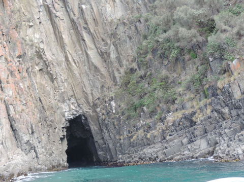 Full-Day Bruny Island Tour From Hobart - Accommodation NT 13