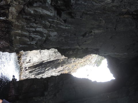 Full-Day Bruny Island Tour From Hobart - Accommodation NT 9